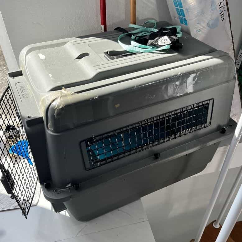 Petmate Pet Carrier Gray