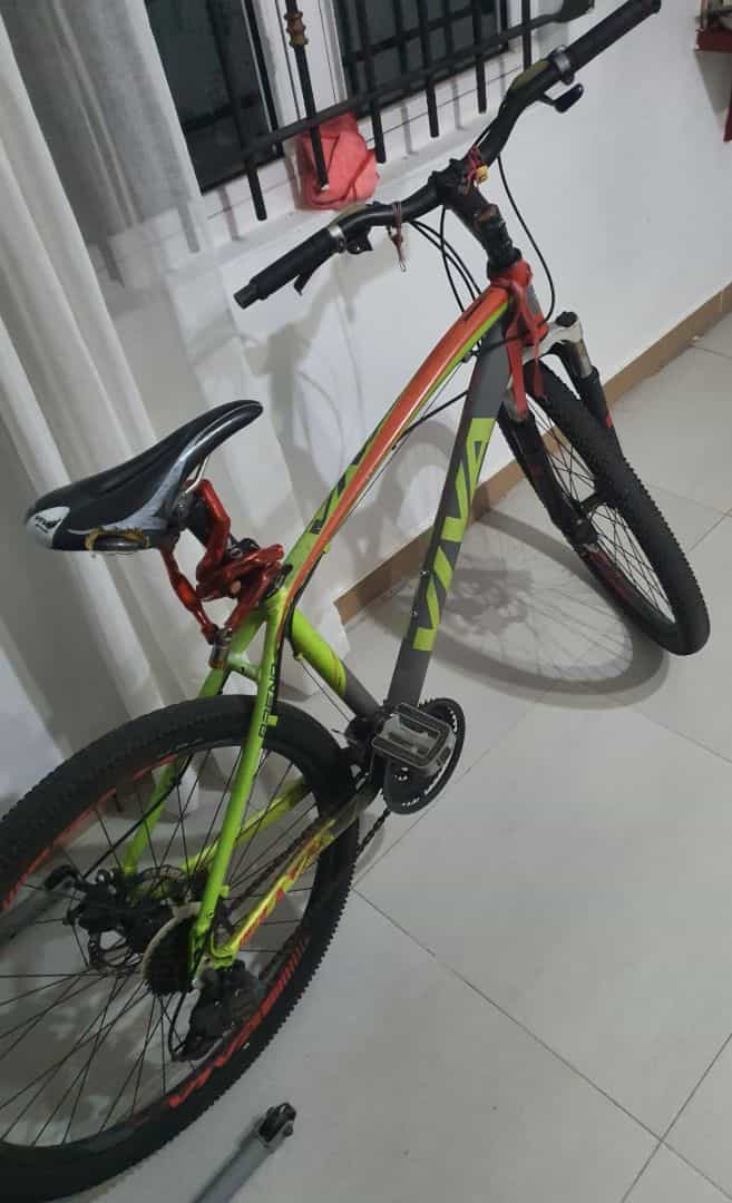 Viva Mountain Bike
